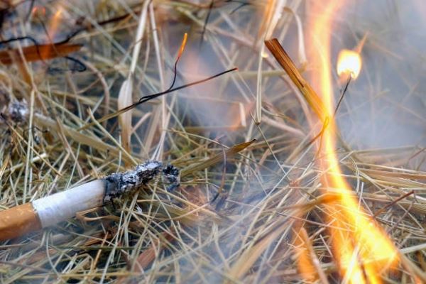 <br />
						Спалил дом соседа: В Красноярском крае дачник выбросил в траву непотушенный окурок