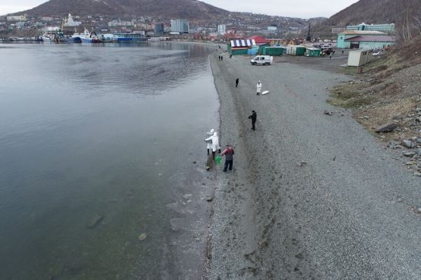 На Камчатке ищут виновных в загрязнении нефтепродуктами Авачинской бухты