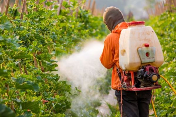 <br />
						Михаил Мишустин подписал постановление о создании системы прослеживаемости пестицидов и агрохимикатов