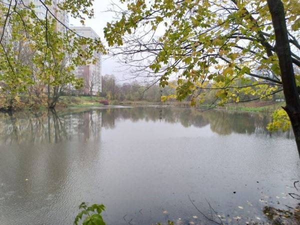 <br />
						В Калининграде восстановят Ялтинский пруд