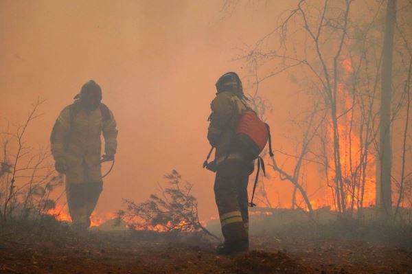Буря стала причиной сильнейших пожаров в Красноярском крае